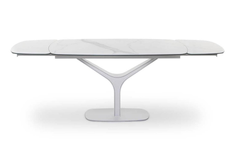 ARISTON